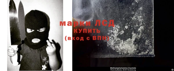 прущие крисы Надым
