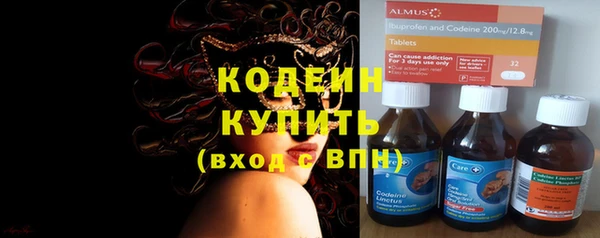 прущие крисы Надым