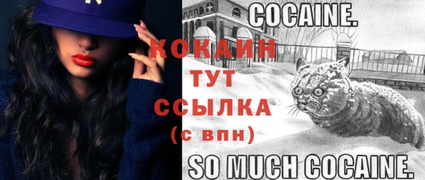 прущие крисы Надым