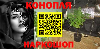 ПСИЛОЦИБИНОВЫЕ ГРИБЫ Гусев