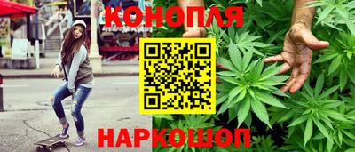 ПСИЛОЦИБИНОВЫЕ ГРИБЫ Гусев