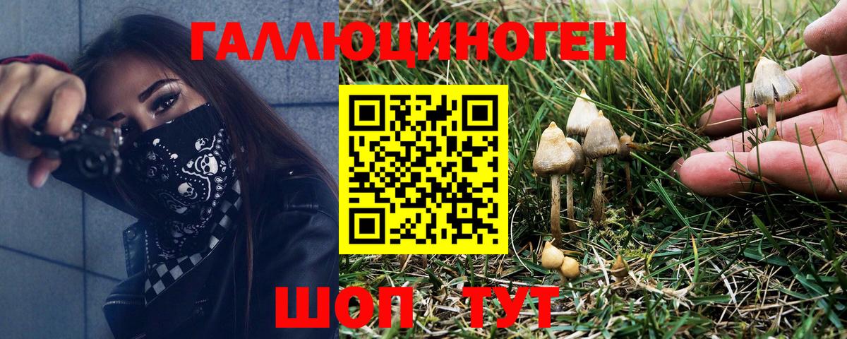 Псилоцибиновые грибы Psilocybe  Псилоцибиновые грибы Cubensis  Вход с VPN  Карпинск 
