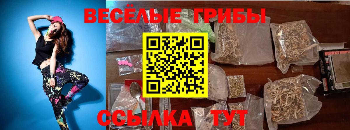 Галлюциногенные грибы Cubensis Карпинск